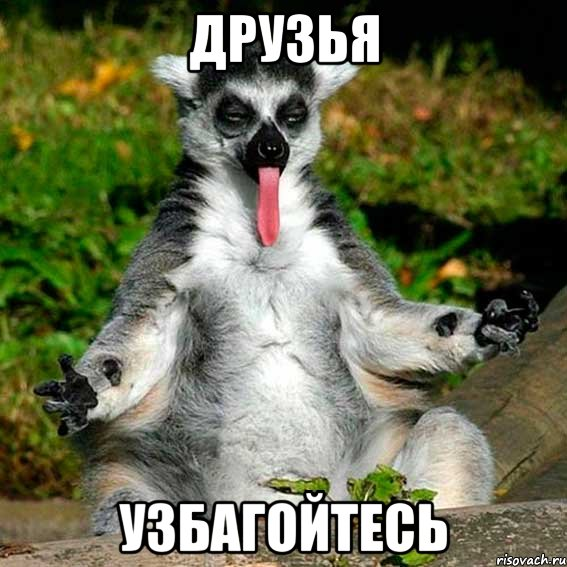 1649621378582.webp