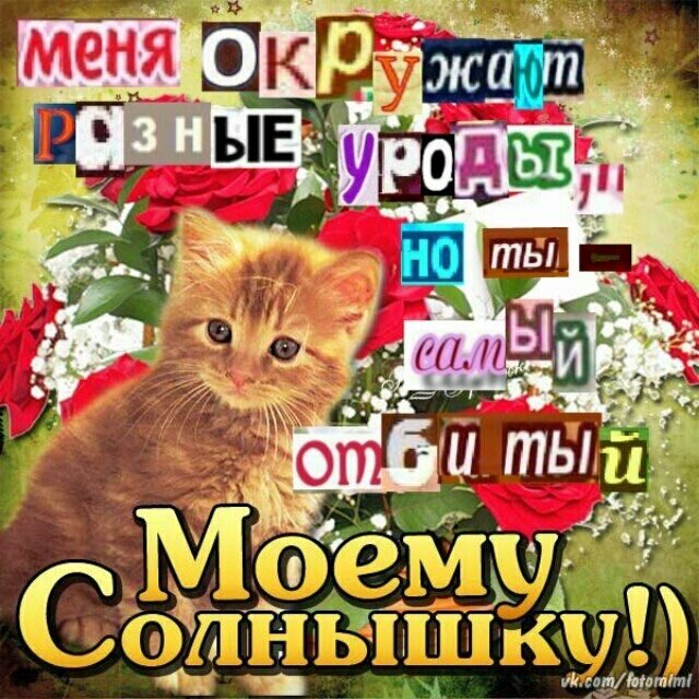 1650277458946.webp