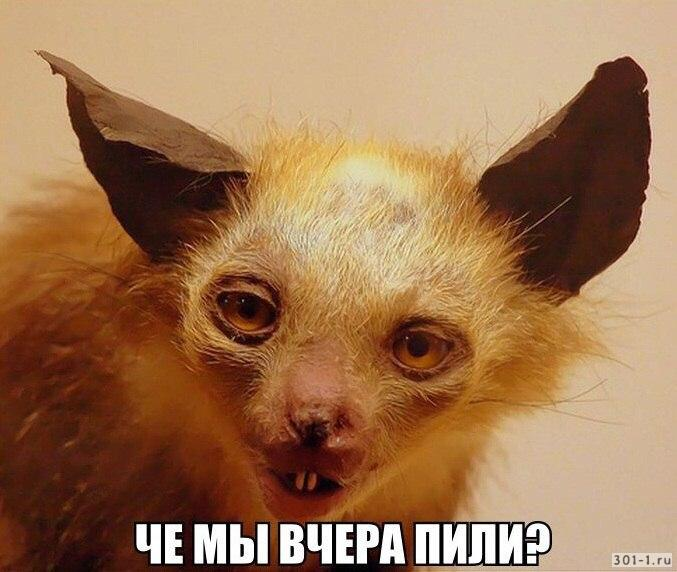 1650378489955.webp