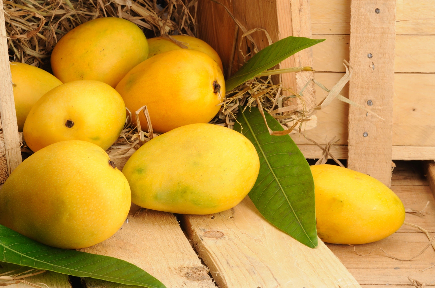 1651254382_22-vsegda-pomnim-com-p-zheltie-frukti-foto-24.webp