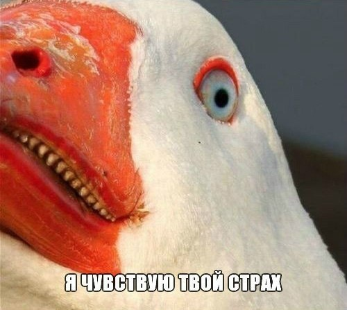 1651487514904.webp