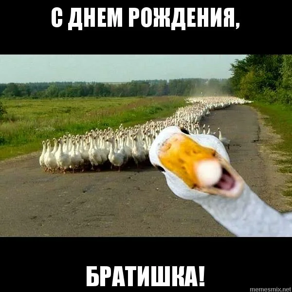 1651523476833.png