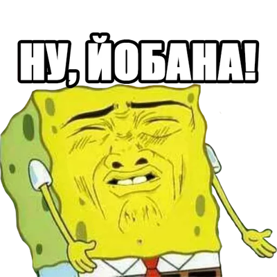 1651694798352.webp