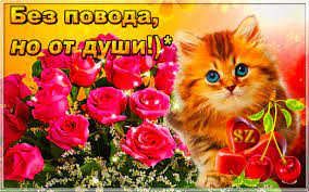 1652646003503.webp