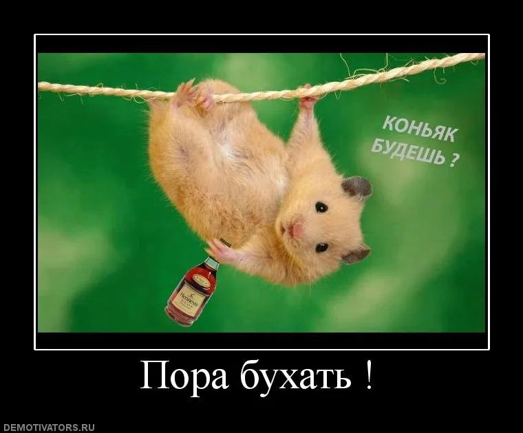 1652863110_4-kartinkof-club-p-kartinki-pyatnitsa-bukhat-budem-4.webp