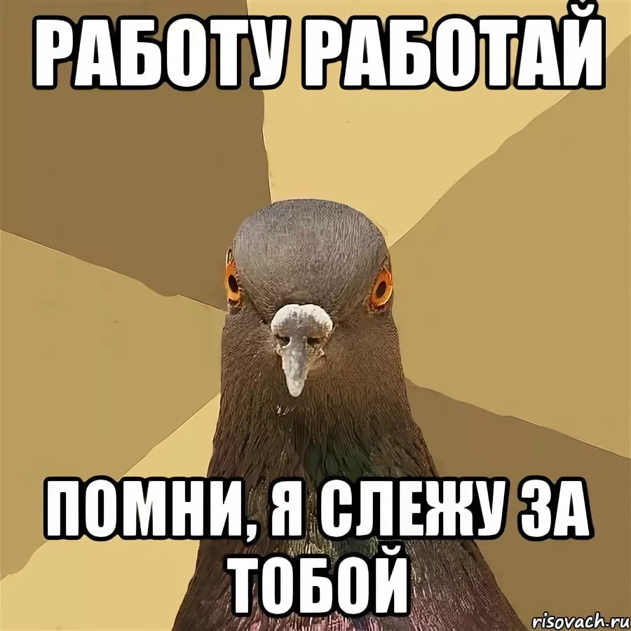 1652865890915.webp
