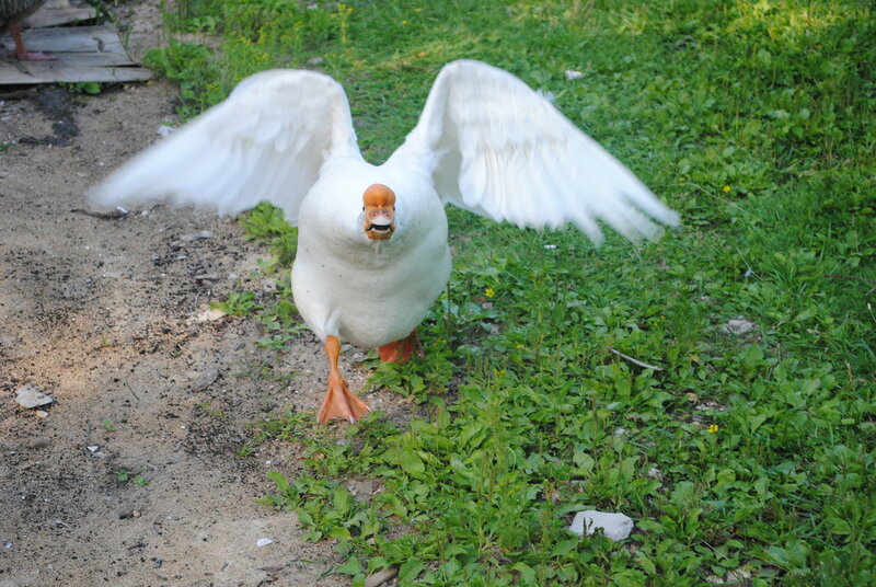1652865933256.webp