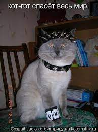 1652968553173.webp