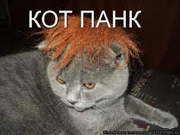 1652968575161.webp