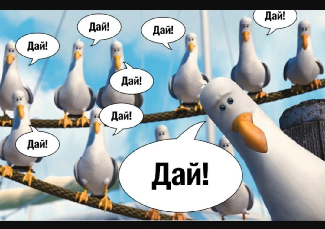1652994880930.webp