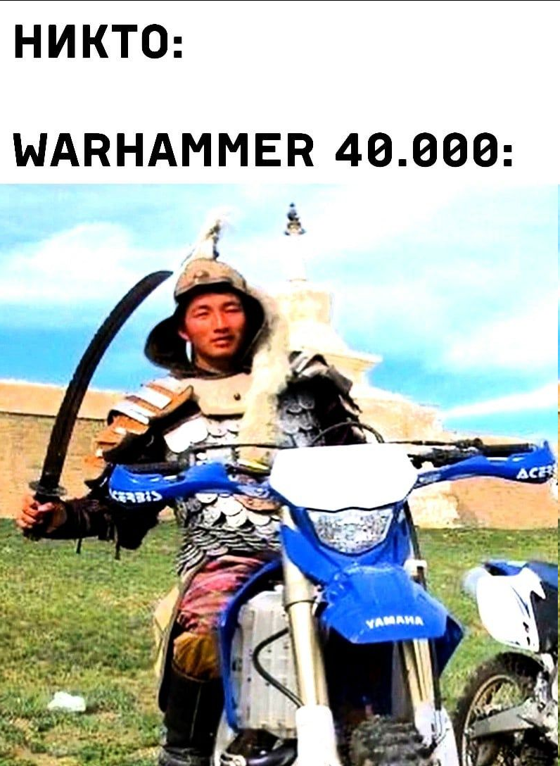 1653386966246.webp