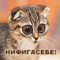 1653434033972.webp