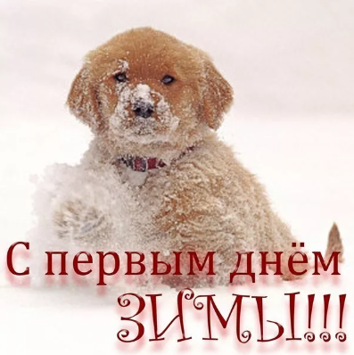 1654218268590.webp