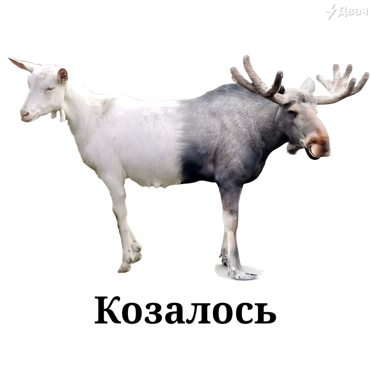 1654287688261.webp