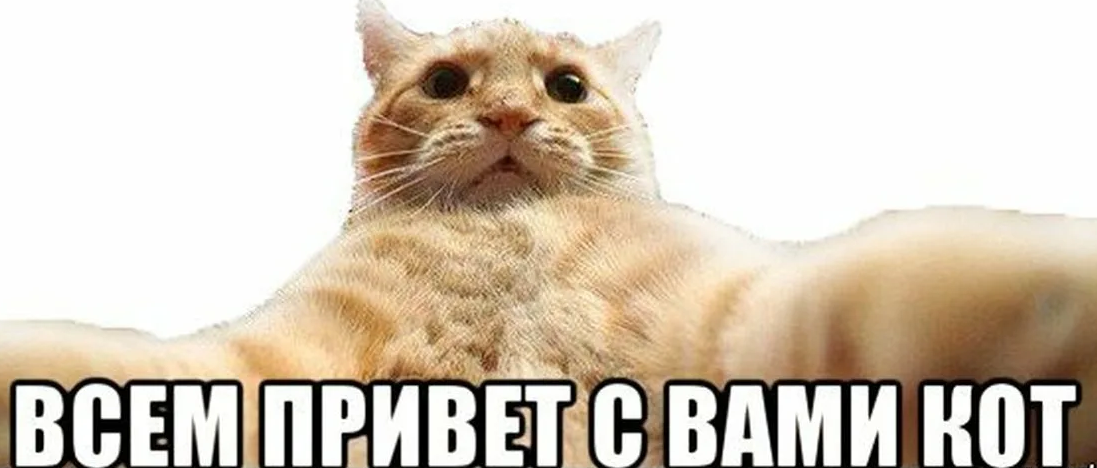1654529992809.webp