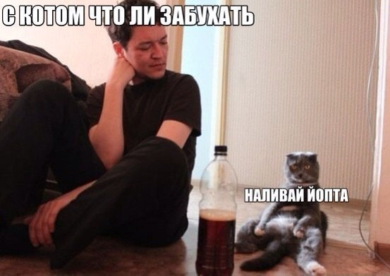 1654667151353.webp