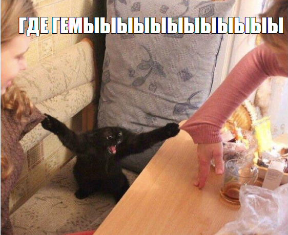 1654808228792.webp