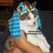 1655058236789.webp