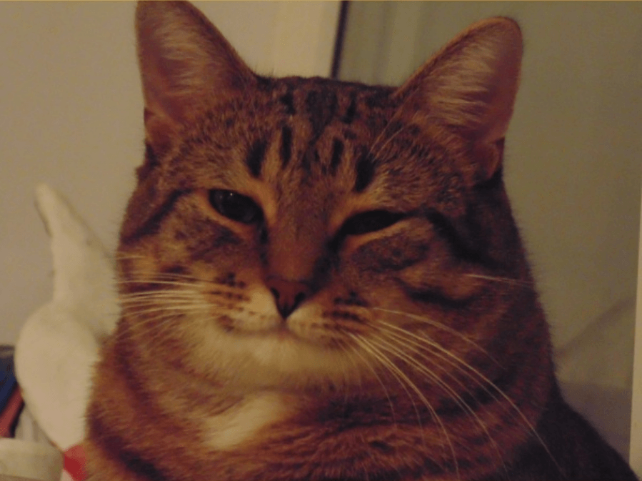 1655324390340.webp