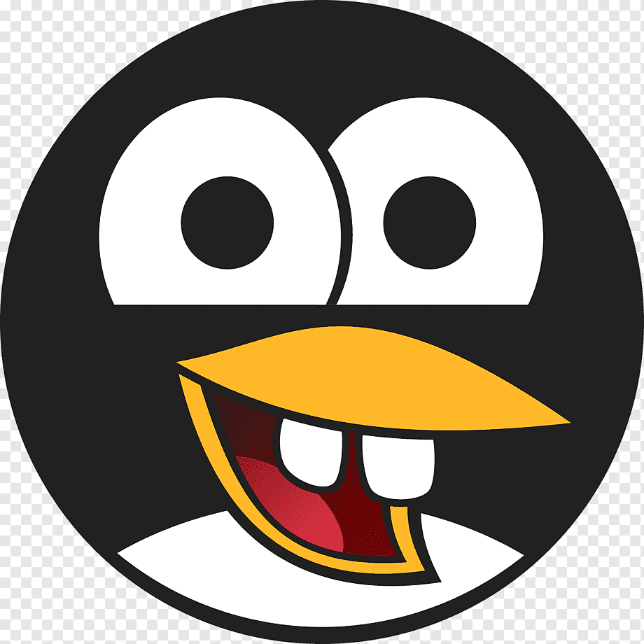 1655487168222.webp