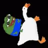 1655757069202.webp