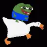 1655757078291.webp