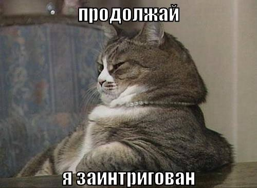 1655844897544.webp