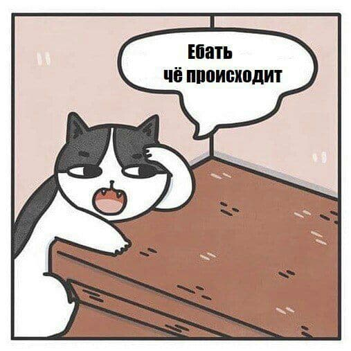 1656242664969.webp