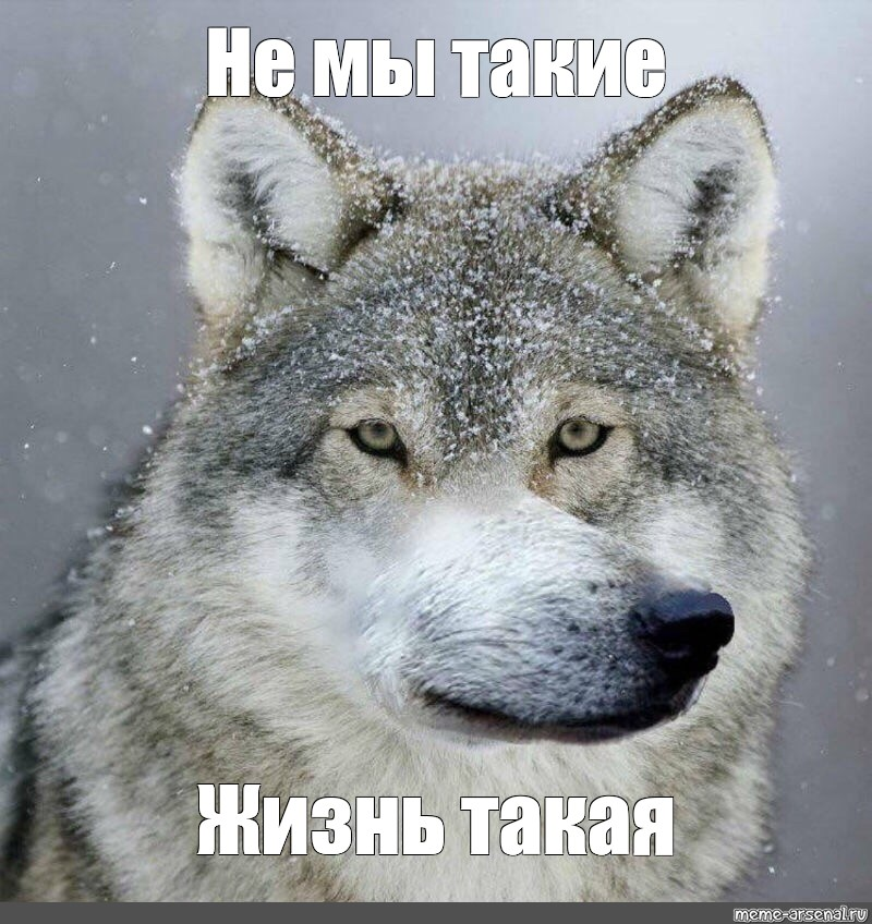 1656420889056.webp