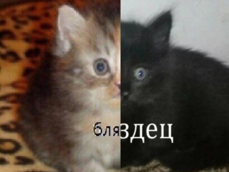 1656590734660.webp