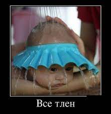 1656619167148.webp