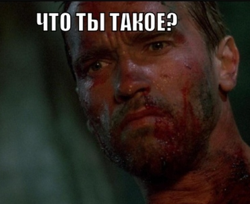 1656658675291.webp