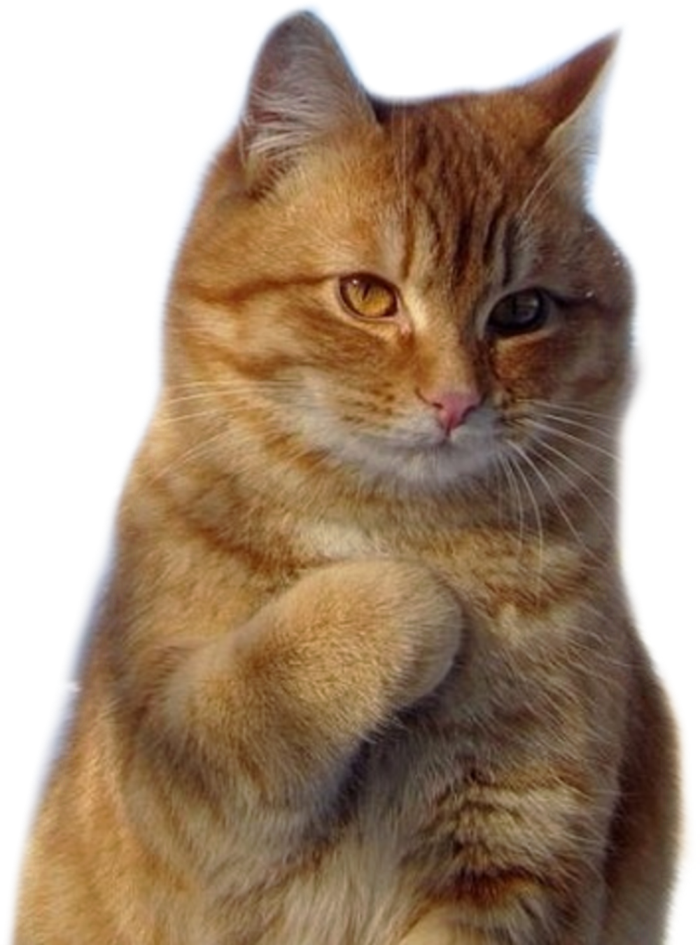 1656712087080.webp