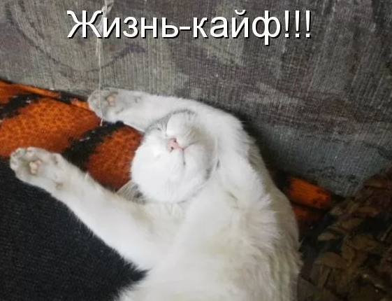 1656766531525.webp