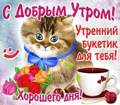 1657180300661.webp