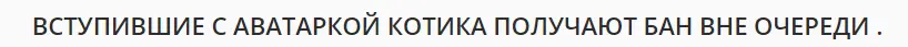 1657634951717.webp