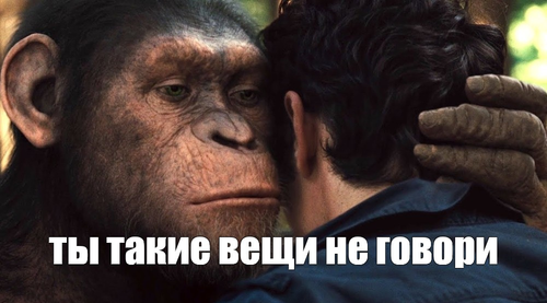 1657639927642.webp