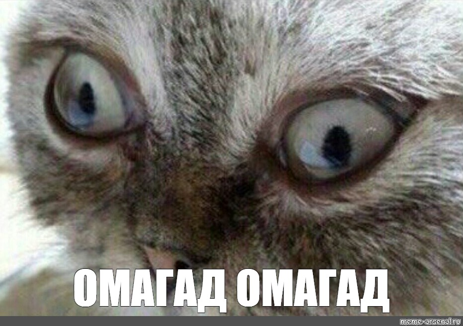 1657882215908.webp