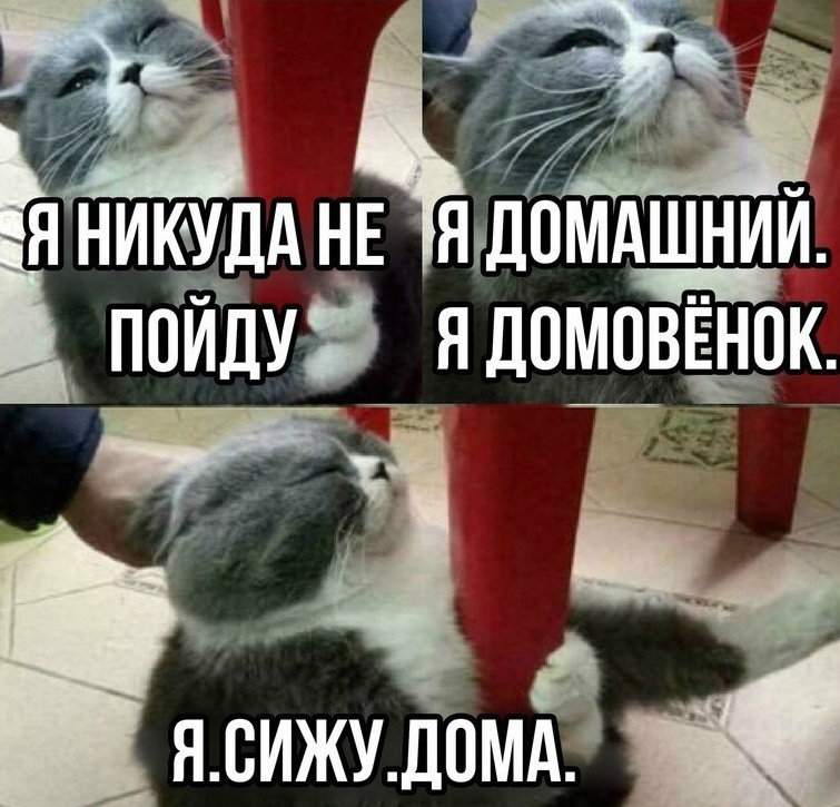 1657973183577.webp