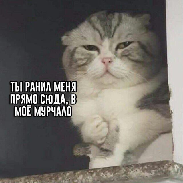 1658612056269.webp