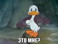 1658778856561.webp