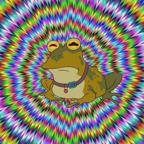 1659209719000.webp