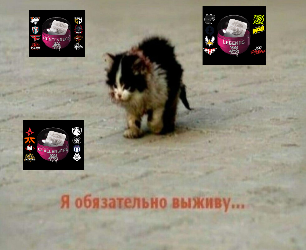 1659420364088.webp