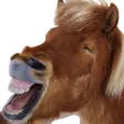 1659641707628.webp