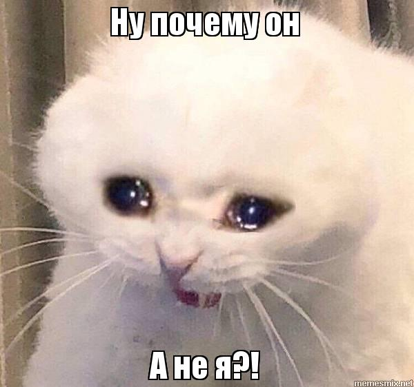 1660032498293.webp
