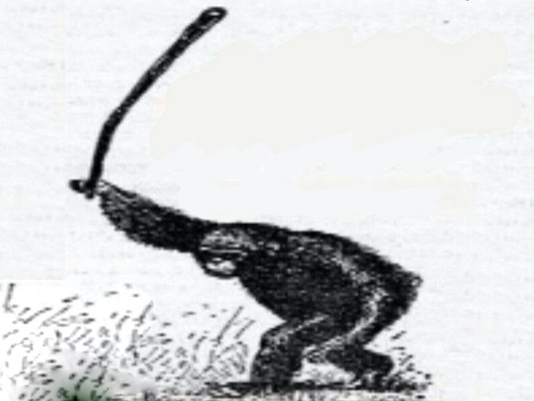 1660416847865.webp