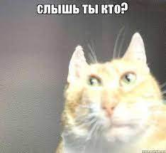 1660520845645.webp