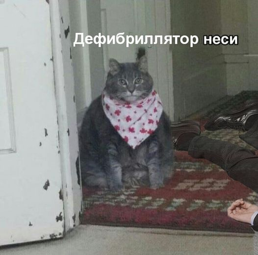 1660726869443.webp