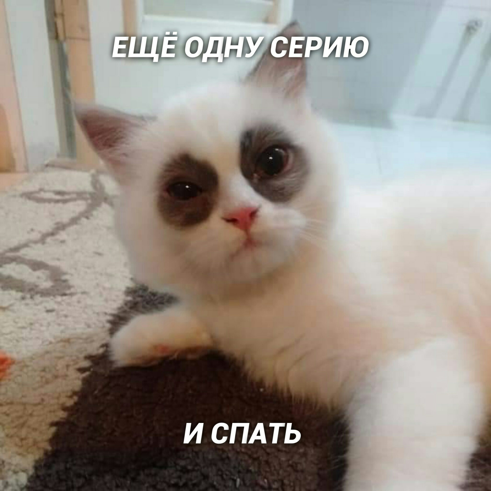 1660731220641.webp