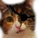 1661103907170.webp